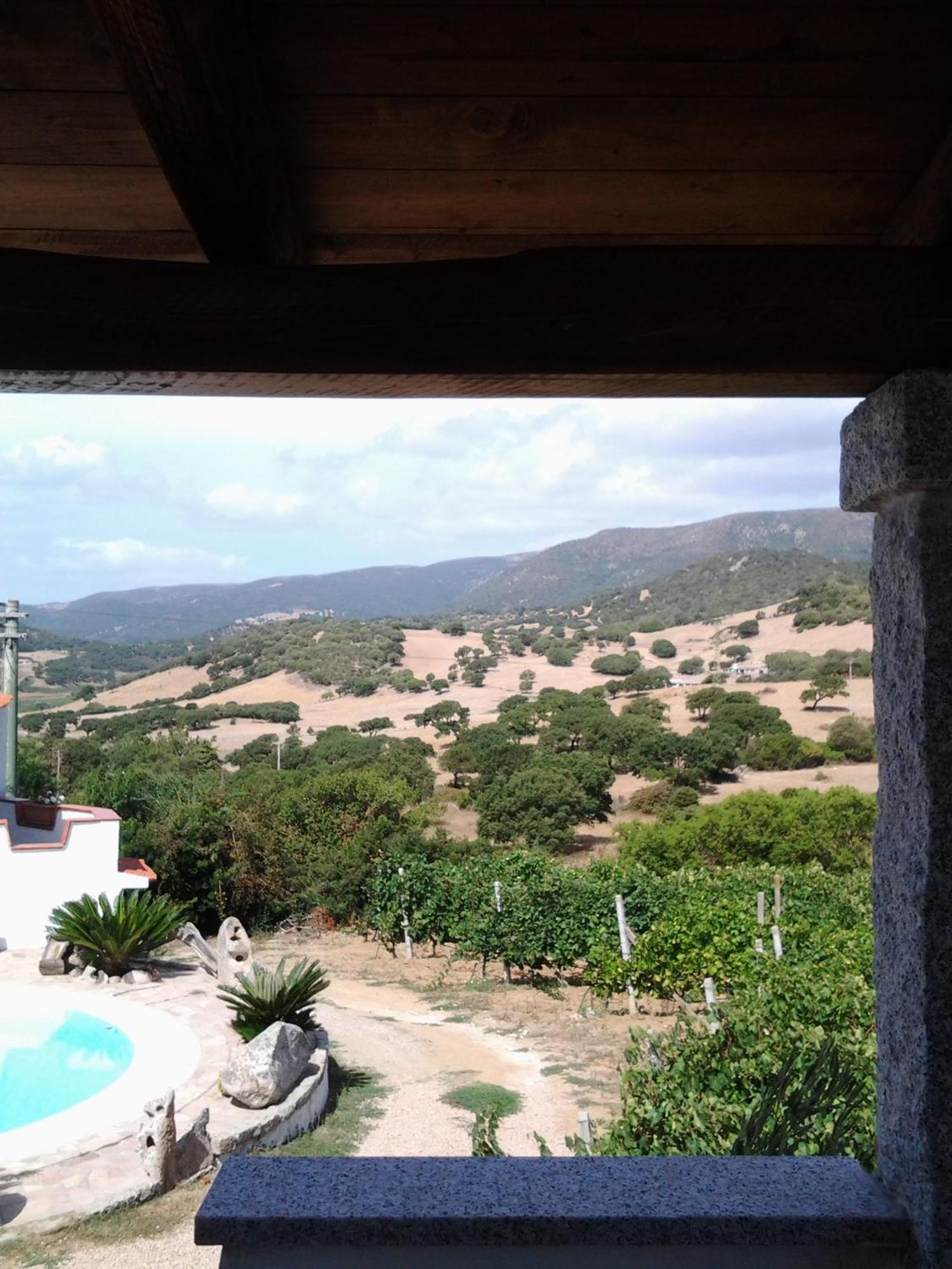 Agriturismo B&B Domo De Resteblas Berchidda Bagian luar foto