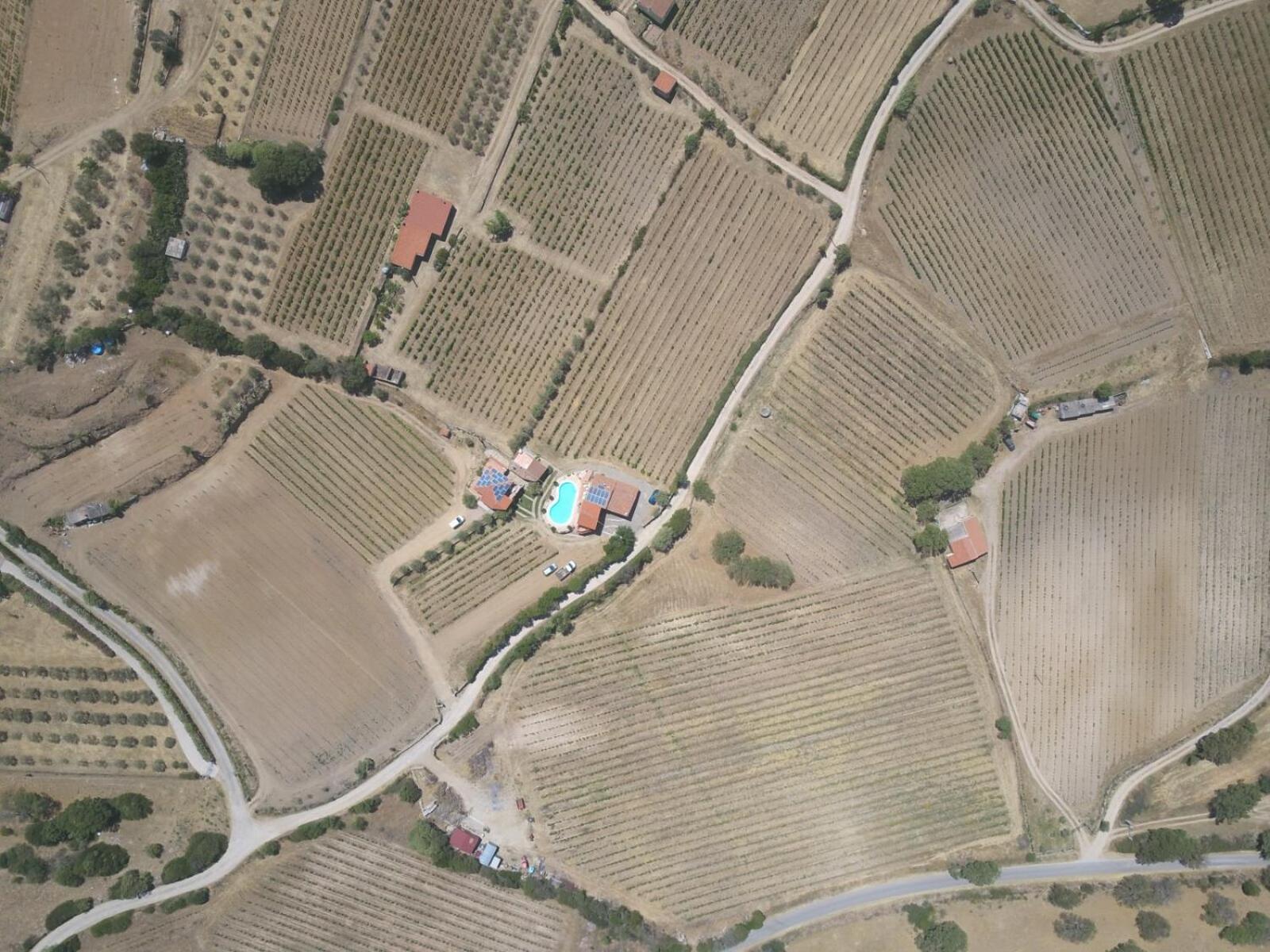 Agriturismo B&B Domo De Resteblas Berchidda Bagian luar foto