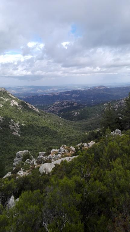 Agriturismo B&B Domo De Resteblas Berchidda Bagian luar foto