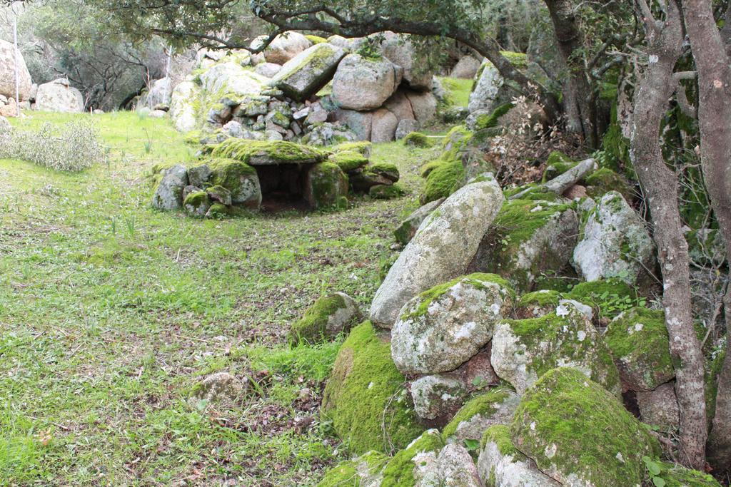Agriturismo B&B Domo De Resteblas Berchidda Bagian luar foto