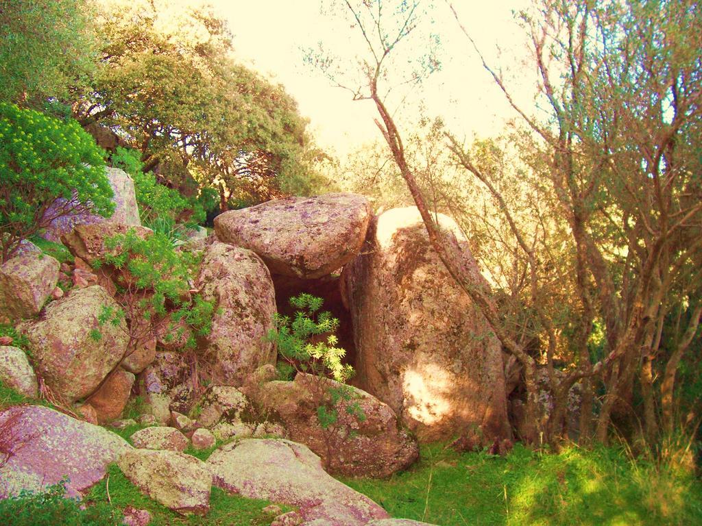 Agriturismo B&B Domo De Resteblas Berchidda Bagian luar foto