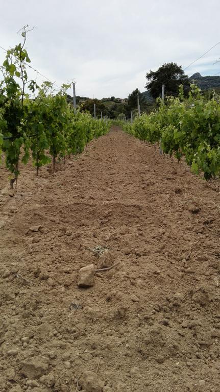 Agriturismo B&B Domo De Resteblas Berchidda Bagian luar foto