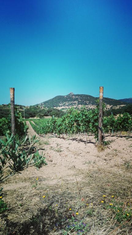 Agriturismo B&B Domo De Resteblas Berchidda Bagian luar foto
