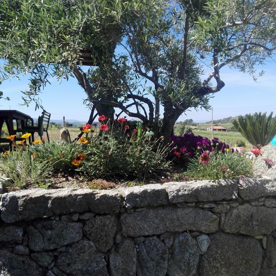Agriturismo B&B Domo De Resteblas Berchidda Bagian luar foto
