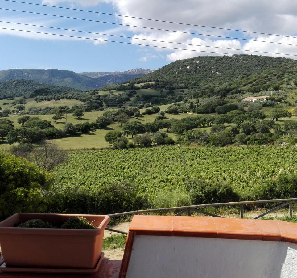 Agriturismo B&B Domo De Resteblas Berchidda Bagian luar foto