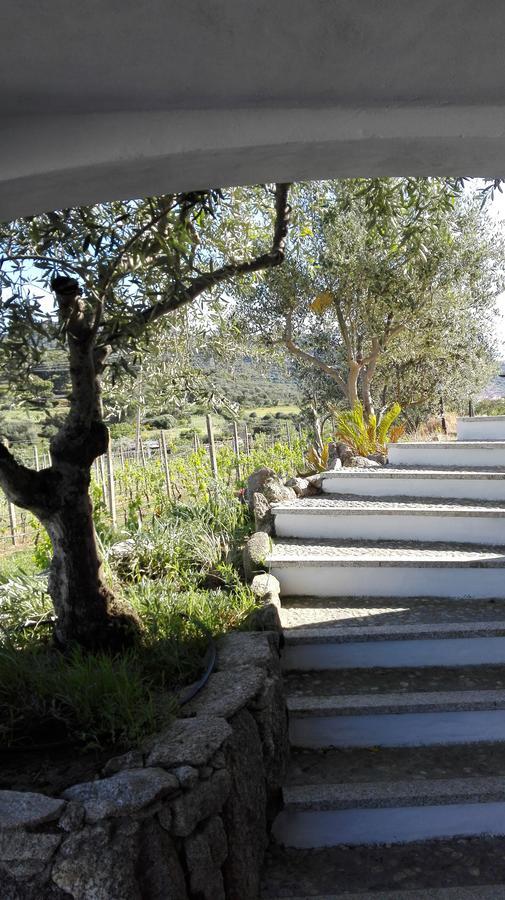 Agriturismo B&B Domo De Resteblas Berchidda Bagian luar foto