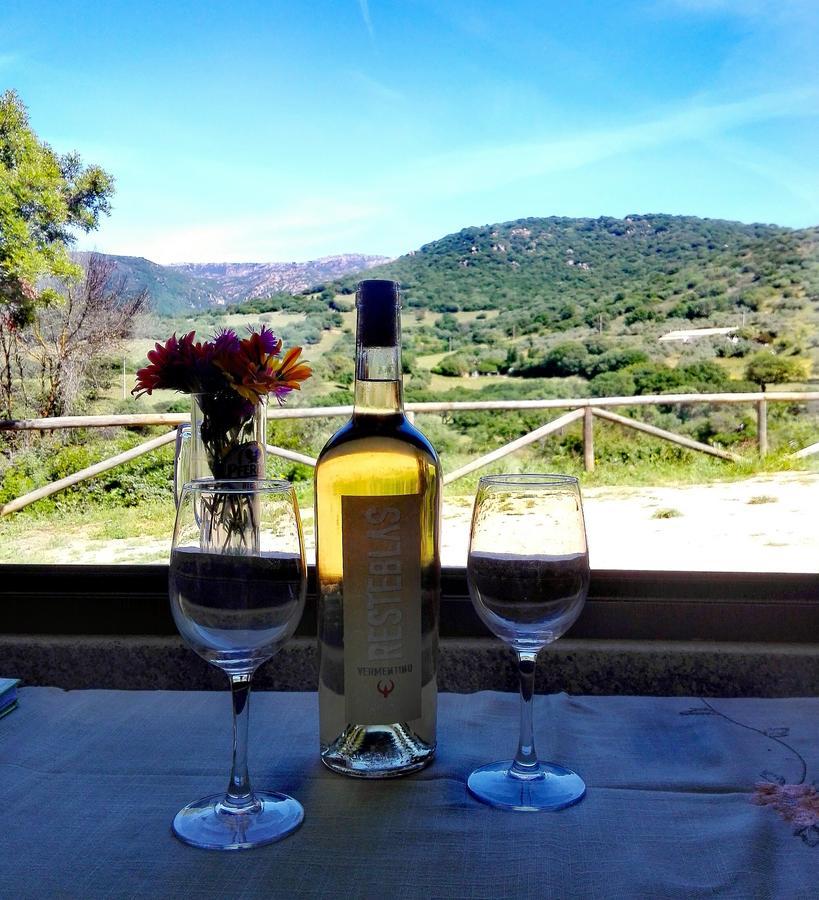 Agriturismo B&B Domo De Resteblas Berchidda Bagian luar foto